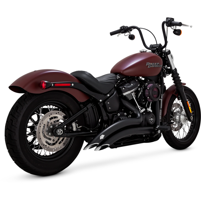 BIG RADIUS 2-INTO-2, 2018-22 Various Softails