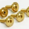 RYD Racelite Series Enforcer Front Rotor Bolts, Gold Finish